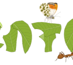 EntoBites logo