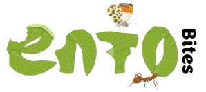 EntoBites logo