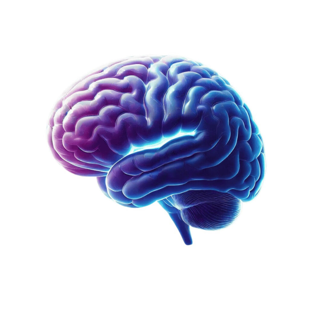 Neuro-bites logo